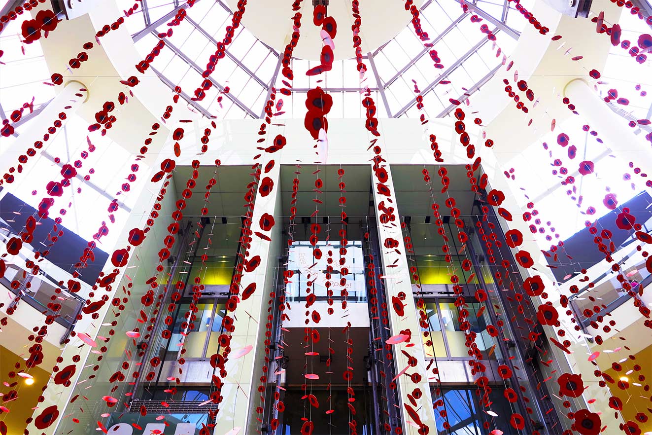 Poppies Hanging