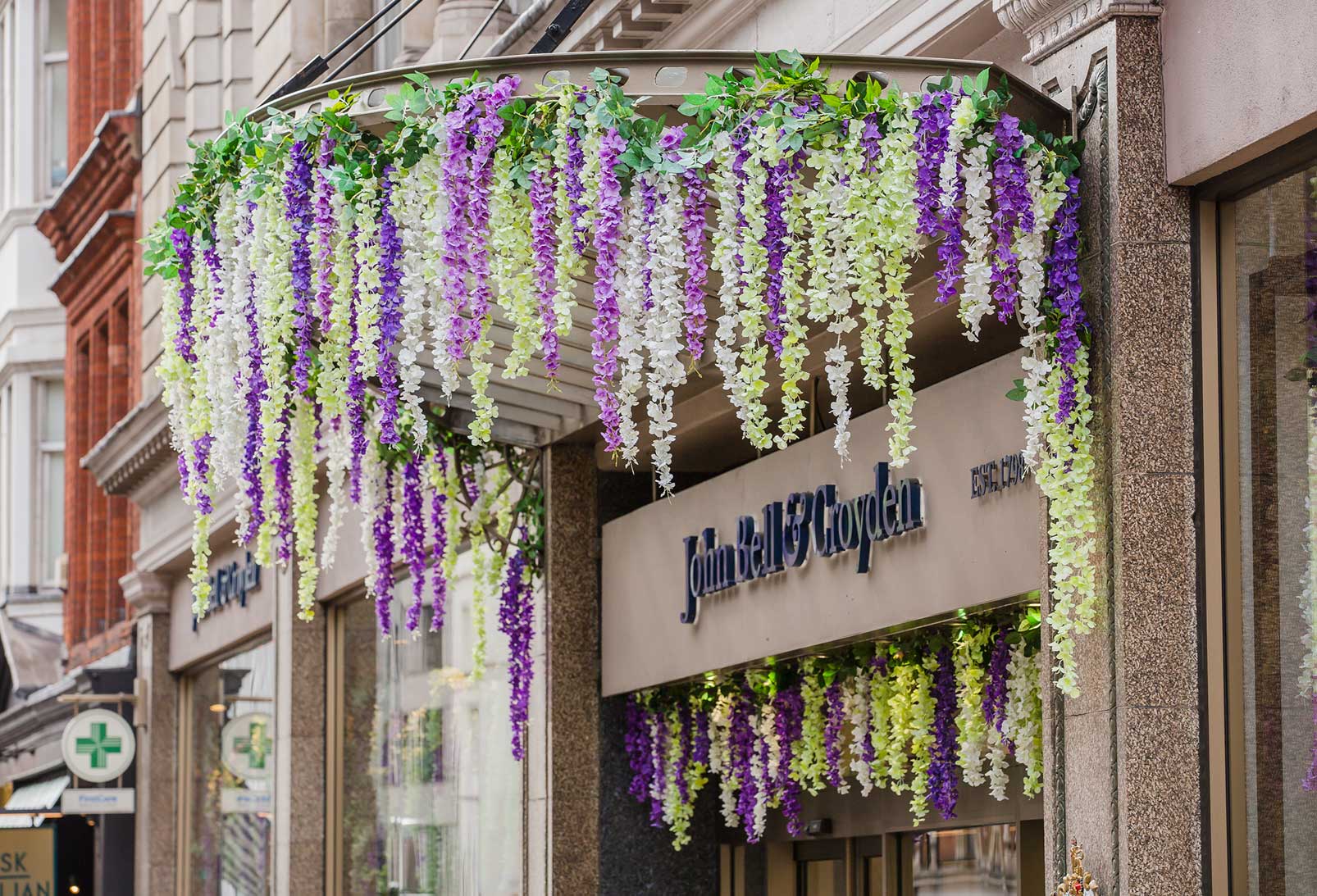 John Bell & Croyden Hanging Plants